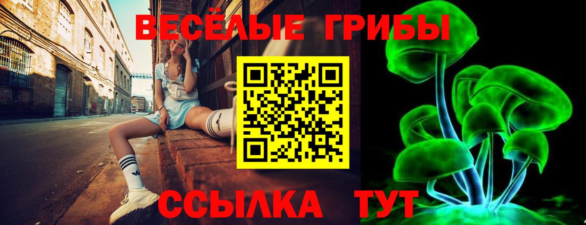 Галлюциногенные грибы MAGIC MUSHROOMS Алейск