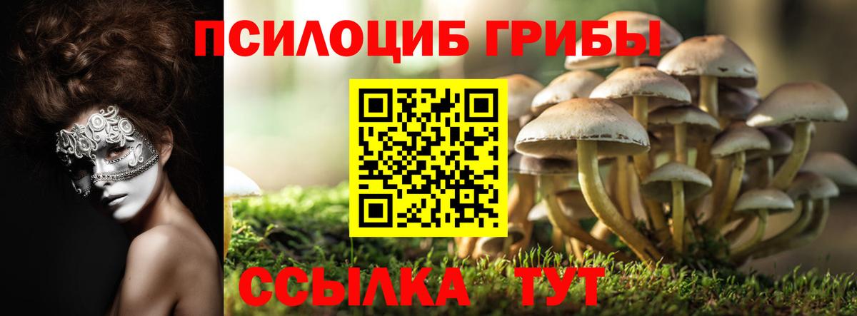 Алейск  Псилоцибиновые грибы прущие грибы  Галлюциногенные грибы MAGIC MUSHROOMS  Вход с VPN 